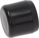 DOOR HANDLE PUSH-BUTTON