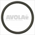 O-RING 02081 EPDM