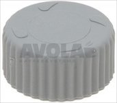 RINSE JET CAP