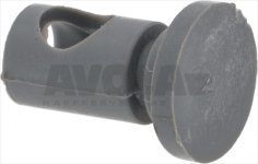 CAP FOR RINSE ARM ASSEMBLY
