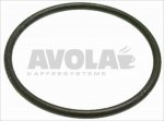 O-RING 0155 EPDM