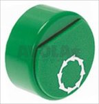 GREEN BUTTON