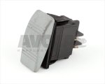 GREY TWO-POLE SWITCH 10A 250V