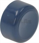 BLUE PUSH-BUTTON