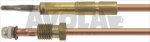 THERMOELEMENT P.ASA GASCO 60 cm