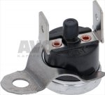 CONTACT THERMOSTAT 100