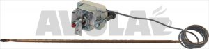 SINGLE-PHASE THERMOSTAT 500