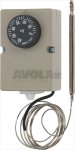 THERMOSTAT F2000 0+60