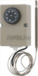 THERMOSTAT F2000 0+60