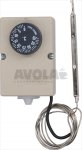 THERMOSTAT F2000 0
