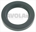 REDUCER OIL SEAL