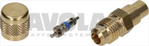ACCESS VALVE ODS