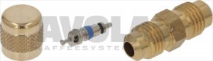 ACCESS VALVE