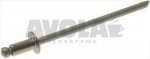 S/STEEL RIVET