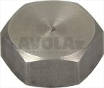RINSE ARM CAP