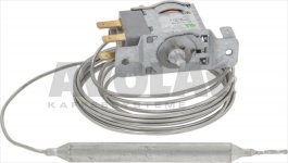 CONTAINER THERMOSTAT ATEA A21