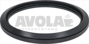 DOOR GASKET