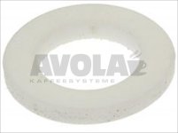 FLAT GASKET