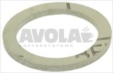 FLAT GASKET