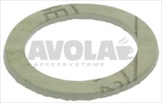 FLAT GASKET