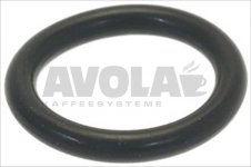 O-RING