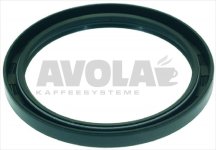 SEALING SPRING RING