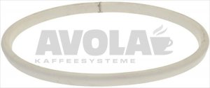 DOOR GASKET