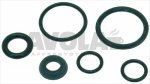 KIT SPARE PARTS WASHERS FOR EVO1 TAPS