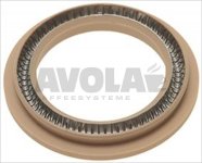 MAIN SHAFT SEALING GASKET