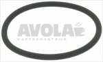 O-RING 04200 VITON