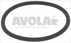 O-RING 04200 VITON