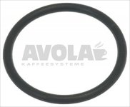 O-RING
