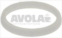 MAIN SHAFT SEALING GASKET