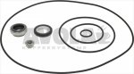 PUMP GASKET KIT