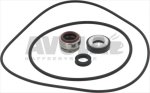 RING GASKET KIT