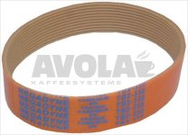 MULTIGRIP BELT TB2 330 H22 10 GROOVES