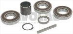 PLANETARY BEARINGS KIT