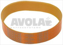 MULTIGRIP BELT TB2 310 H20 9 GROOVES
