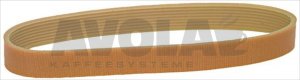 MULTIGRIP BELT J 406 H26 10 GROOVES