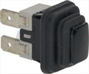 SINGLE-POLE BLACK PUSH-BUTTON 10A 250V