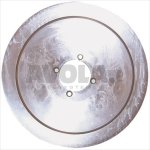 SCHNEIDEBL. INOX ø 250-54-4-202 MOD.C