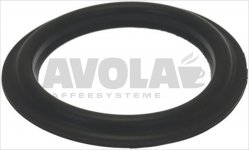 FILER HOLDER GASKET