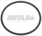 Gaggia gasket