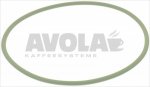 Saeco Idea O-Ring 4425, MOL PEROXID Grün
