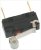 micro switch burges
