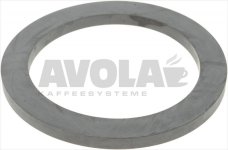 GASKET FOR FILTER HOLDER