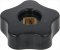tap knob steam
