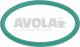 o ring gasket 0155 viton green