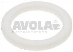 PTFE FLAT GASKET