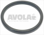 FILTER HOLDER GASKET